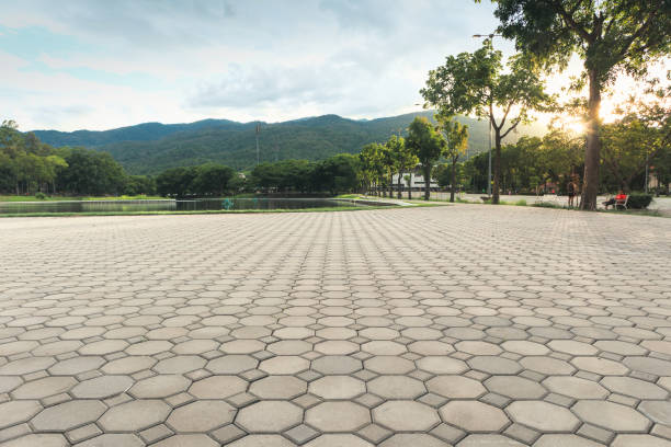 Reliable Paddock Lake, WI Driveway Pavers Solutions